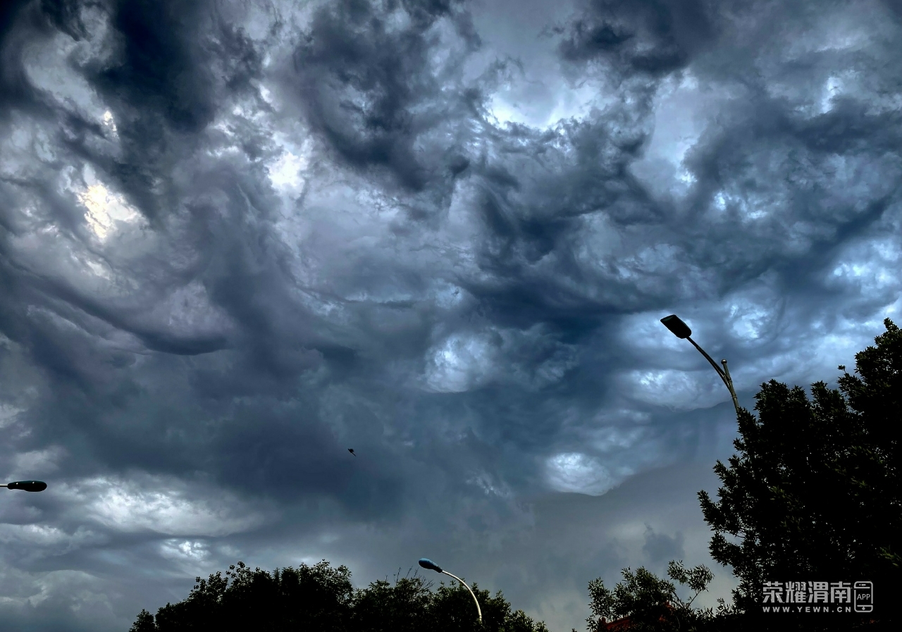 【多图】前几日,天津朋友拍到的糙面云,立体感很强