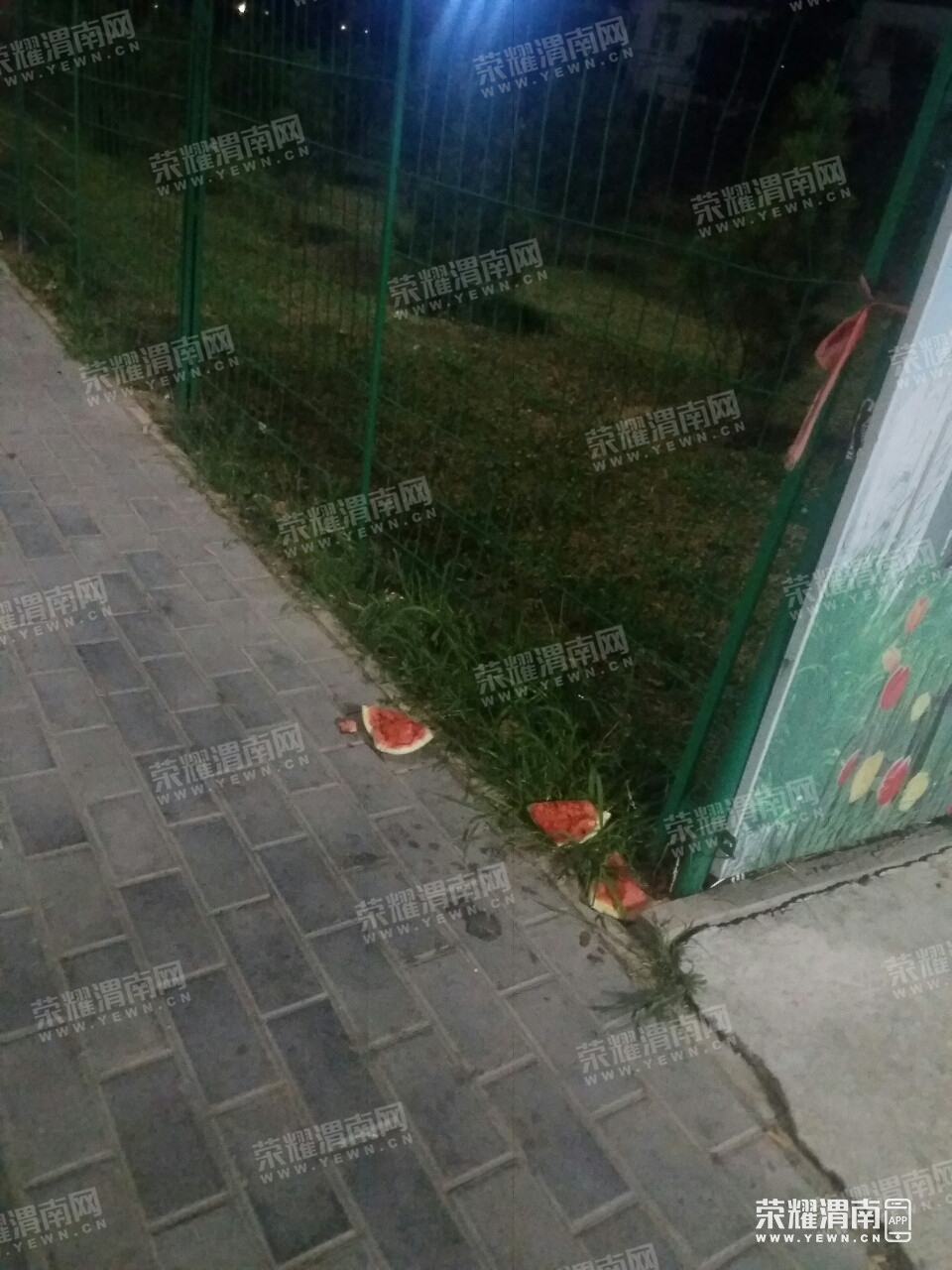 124413lglvabcaal51a51q.jpg