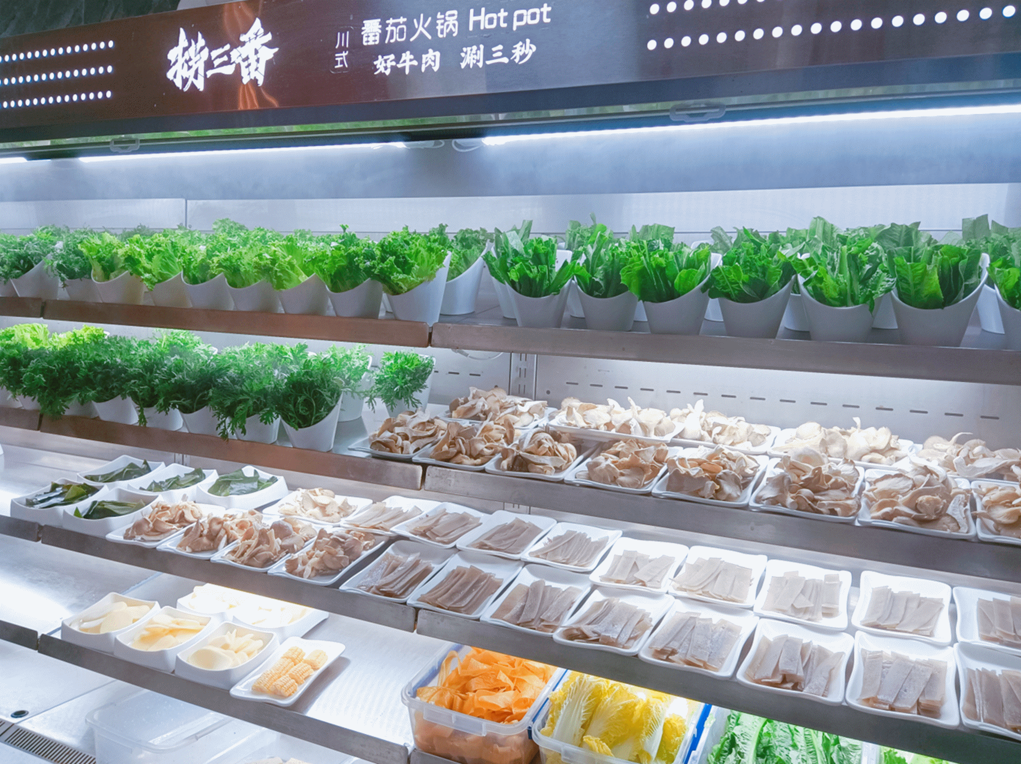 透明干净的开放式厨房