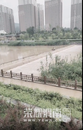 ΢�Ž�ͼ_20210718165406.png