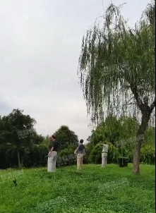 ΢�Ž�ͼ_20210721092059.png