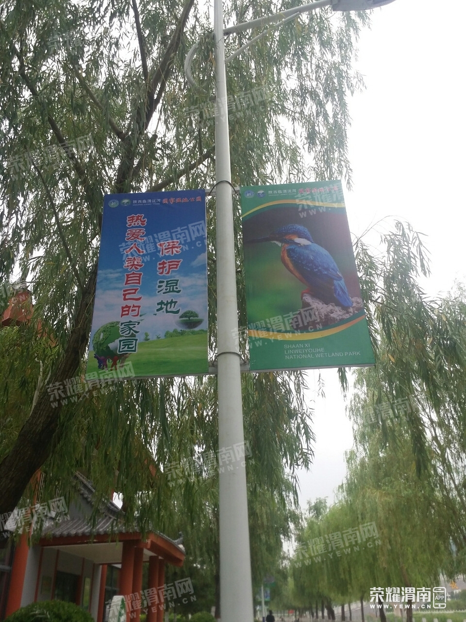 111420gxllbyvlo0rlxsxq.jpg