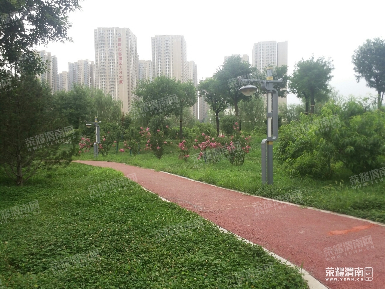 111631j3x5s4i4qg2uxsqu.jpg