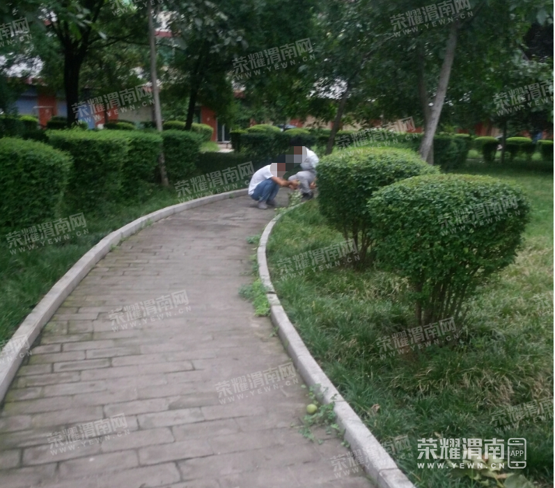 ΢�Ž�ͼ_20210728110431.png