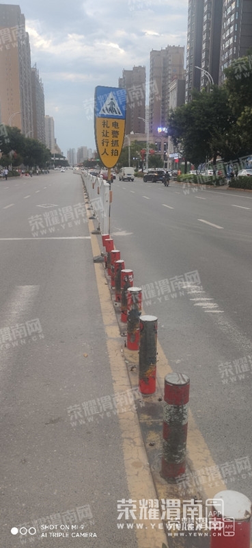 194221y858ppp75pn8a05h.jpg