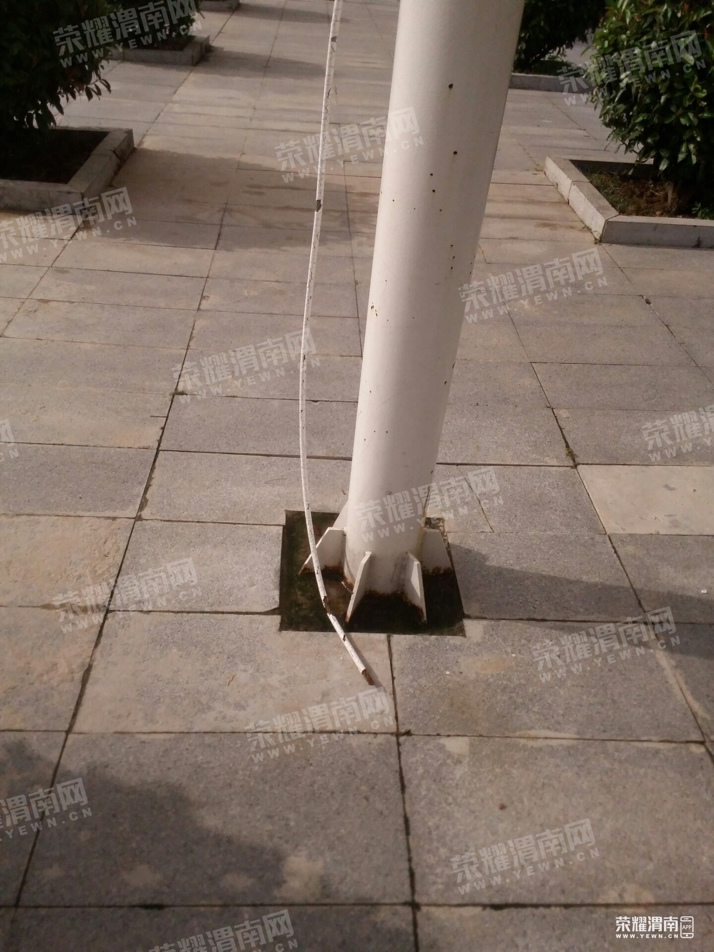 100527piyyly0kelgrh108.jpg
