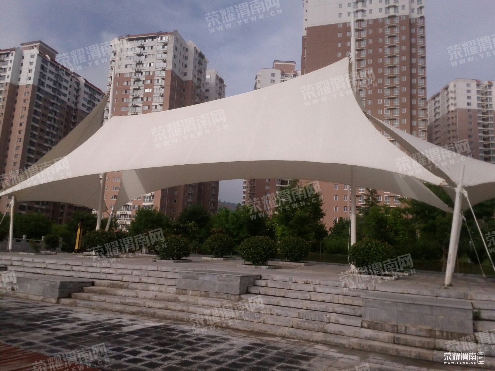 100527wff1arf1qgogglzq.jpg