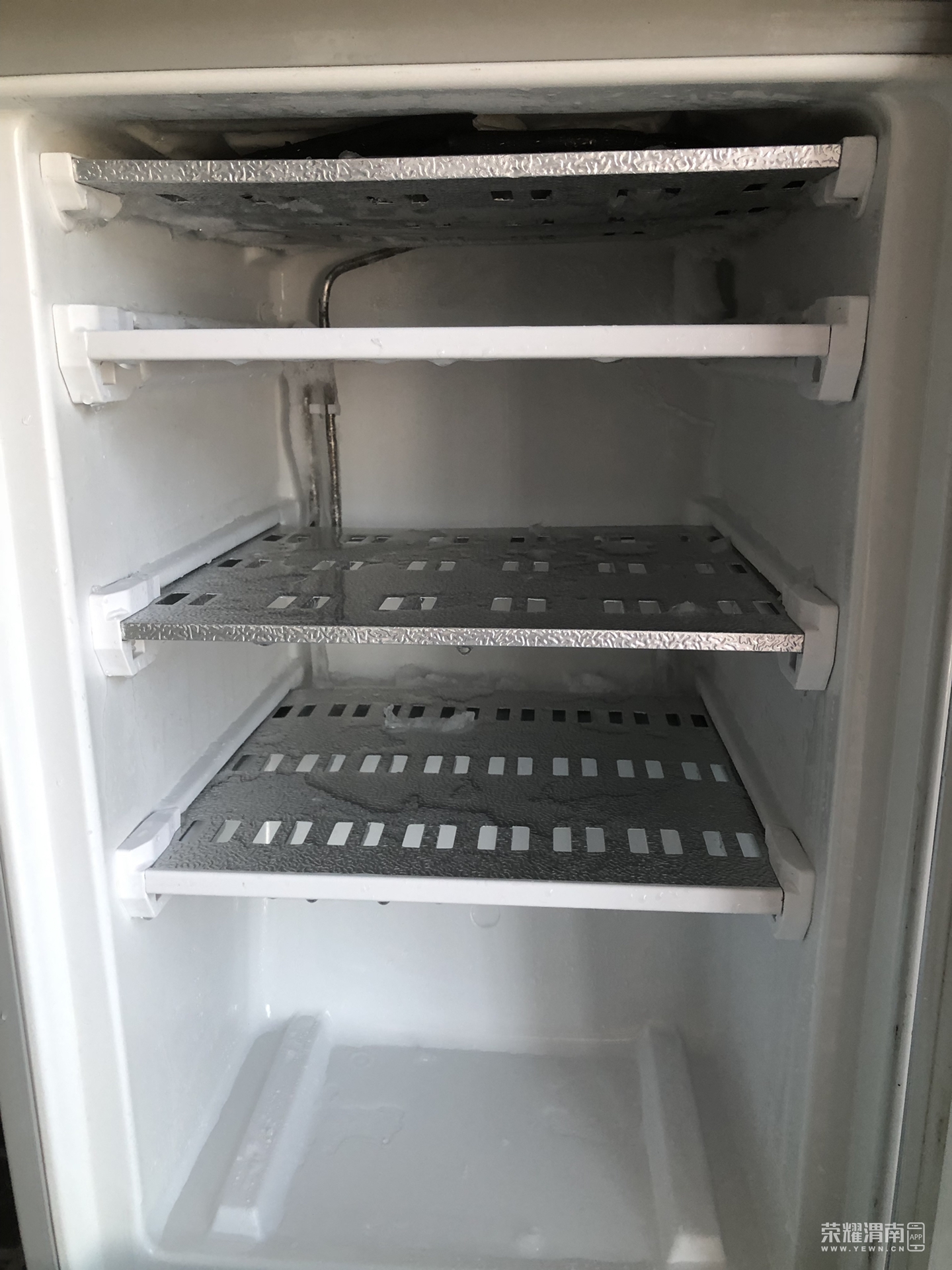 front1_0_FjKtwkQxQdycDMecU9YBgDGARowl.1627803574.jpg