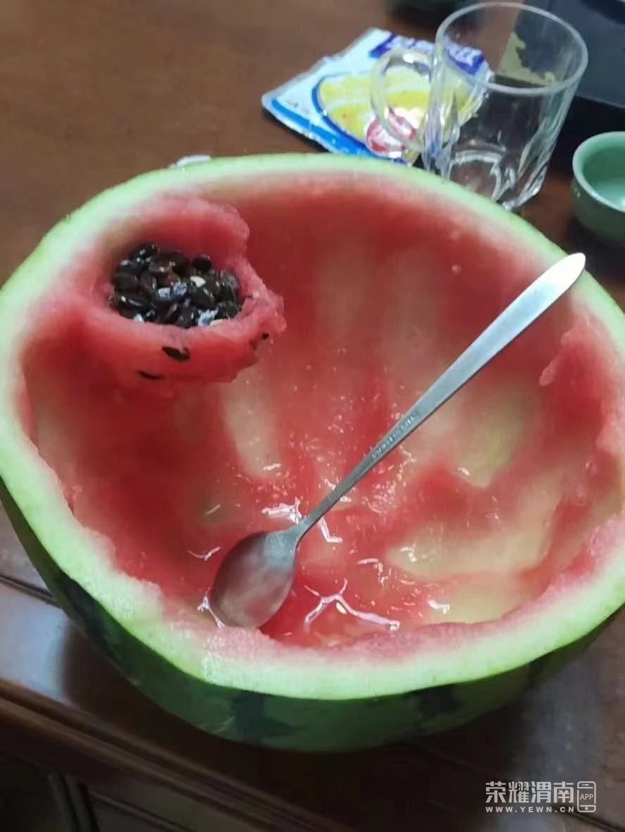 二马路买的西瓜,吃成这个样子,还是有点难度,大家觉得咋样?