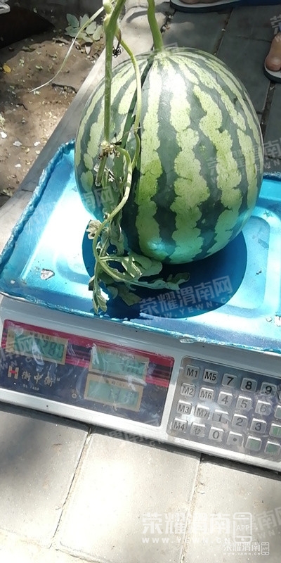 155941gfstfucsddtdtzxt.jpg