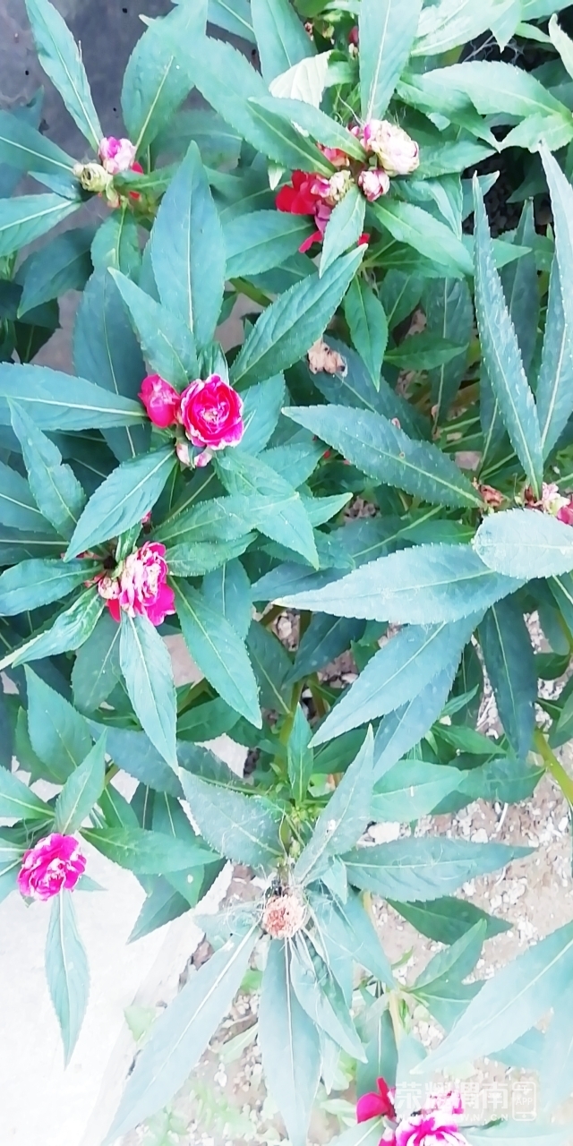 front2_0_FufUJyjp8xr1WVJ5TLw0i8thp5Q7.1627899616.jpg