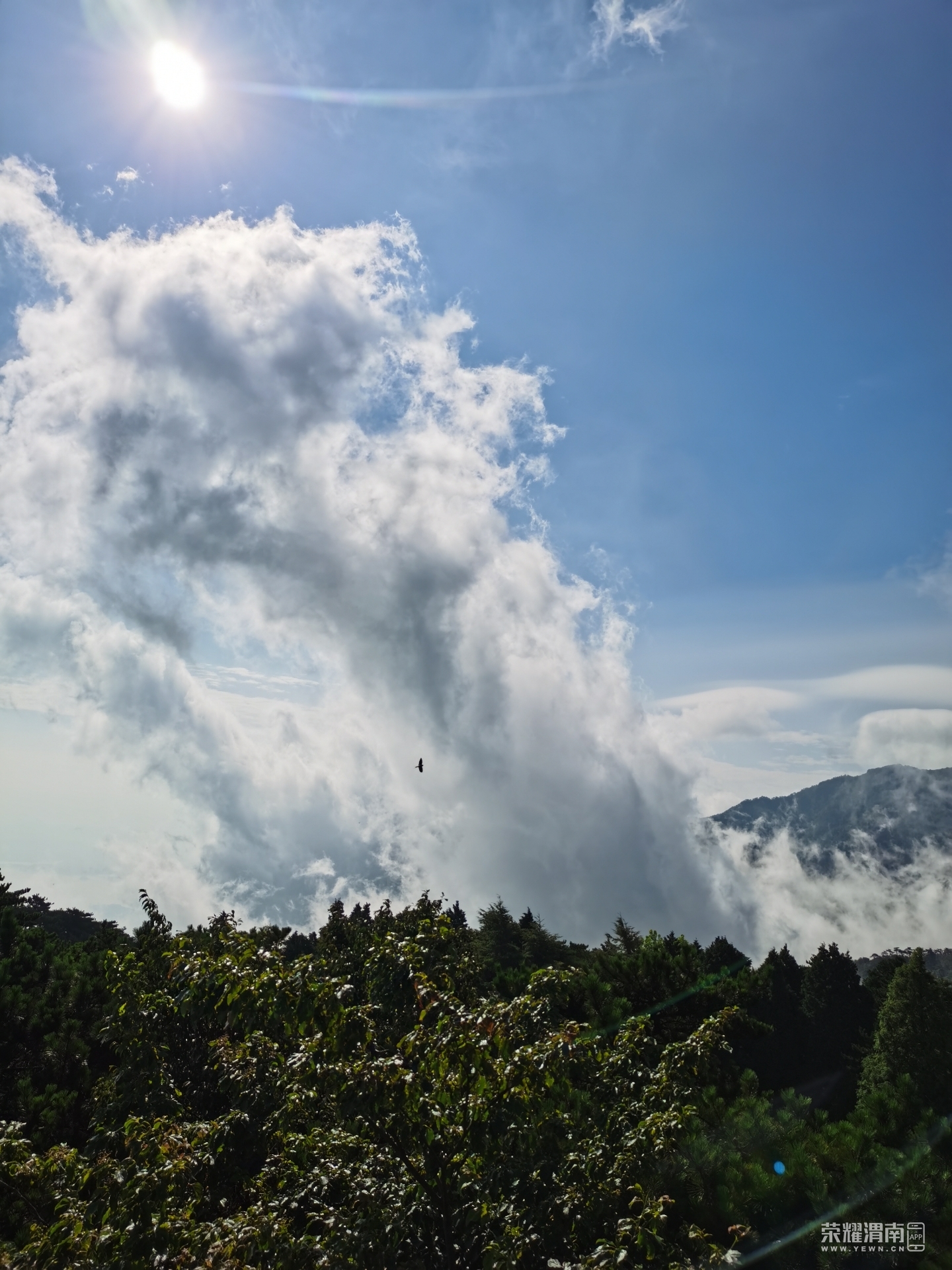 前几天带儿子四川九江七日游让他学习知识并锻炼坚强的意志
