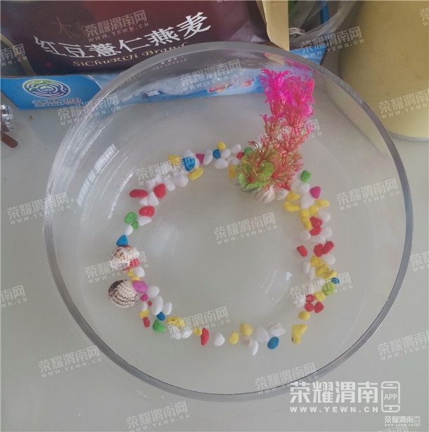 141348dzui338ct3zz1cex.jpg