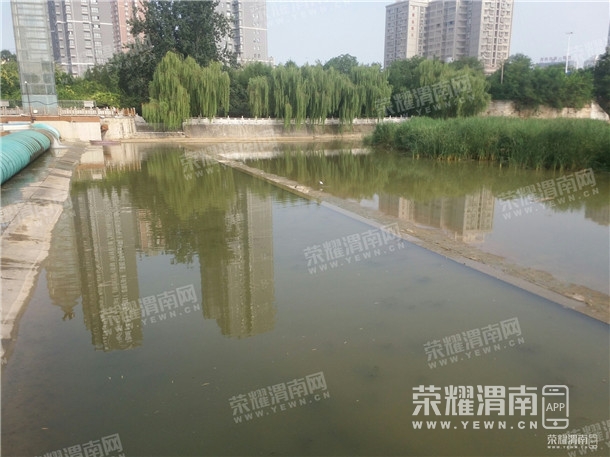 091338nsjtsl26swss6swb.jpg