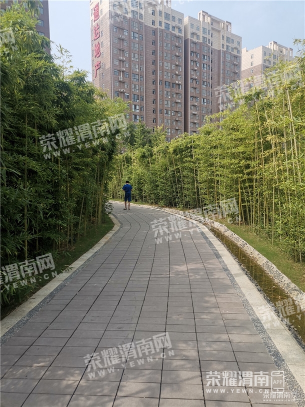 123818f0lc1tjj81op1pcv.jpg