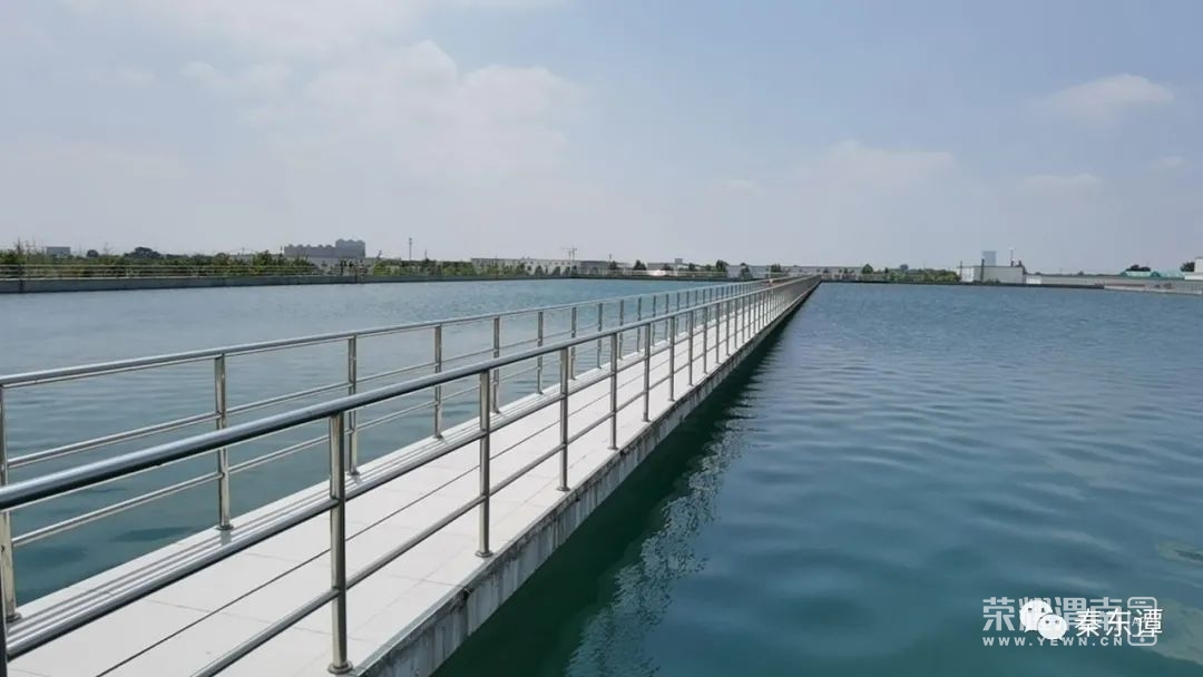 160048a4egyvpwerg38rpw.jpg