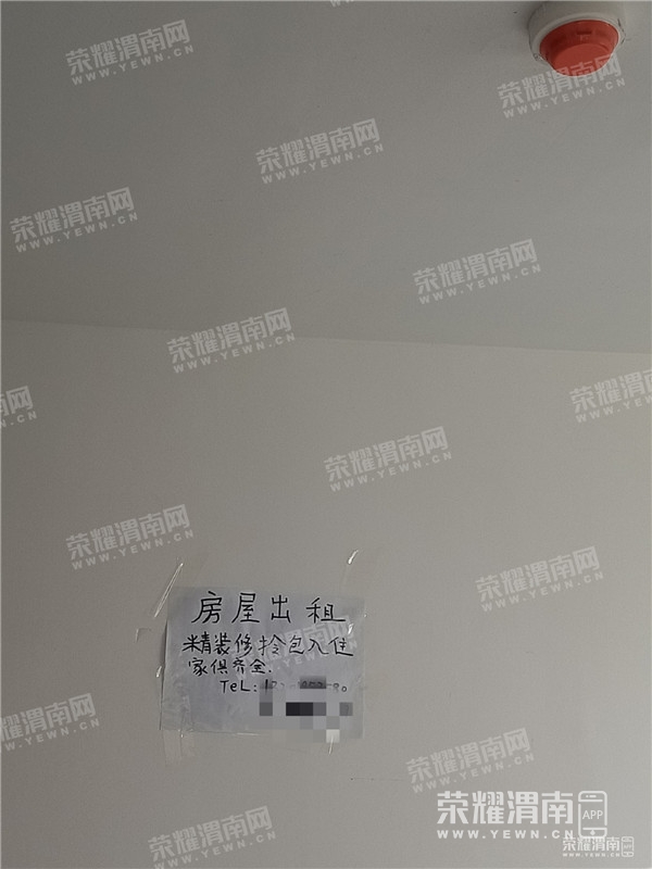 170641vy7obombz2i8779b.jpg