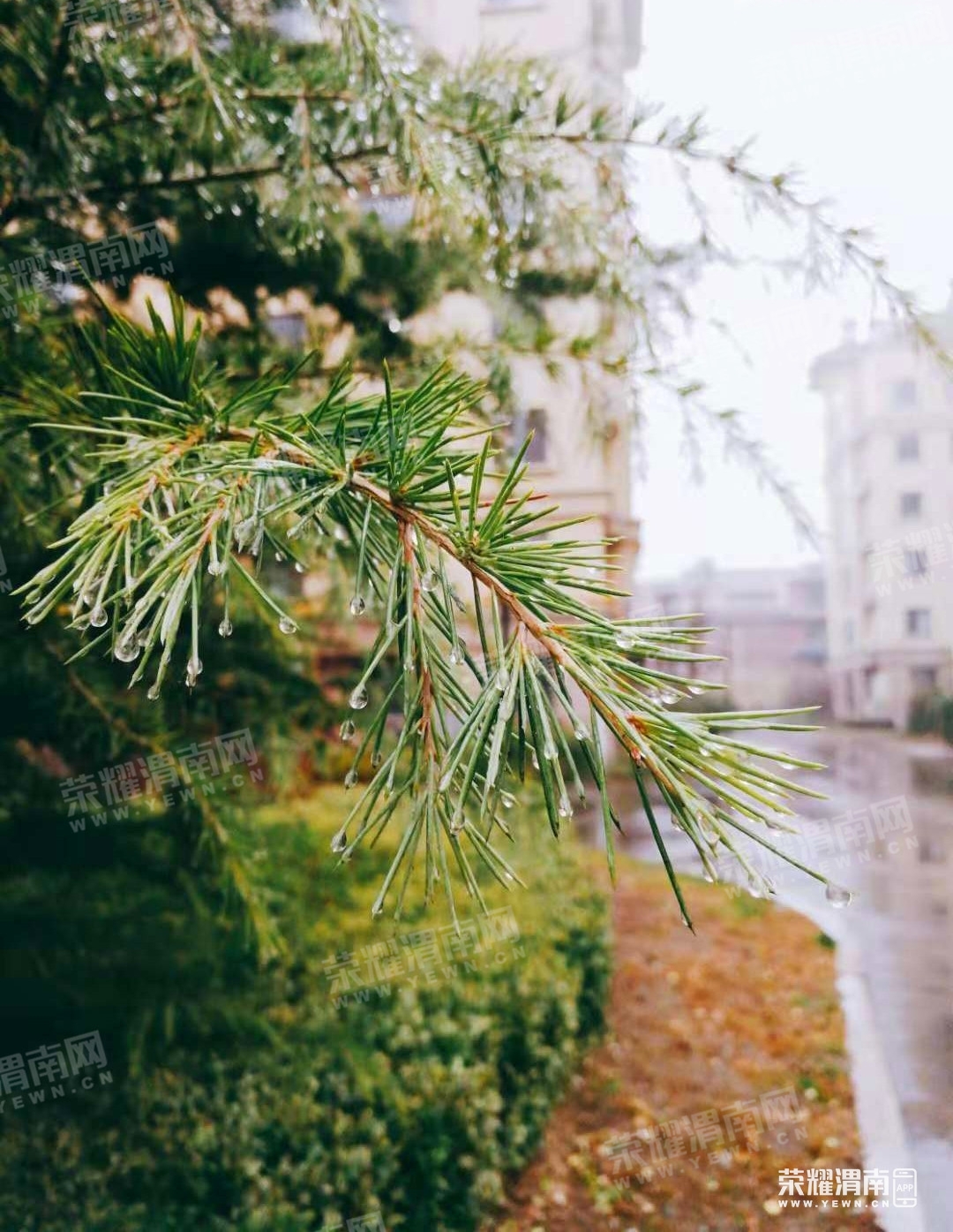 121012e4i6f69ty42f2rtr.jpg