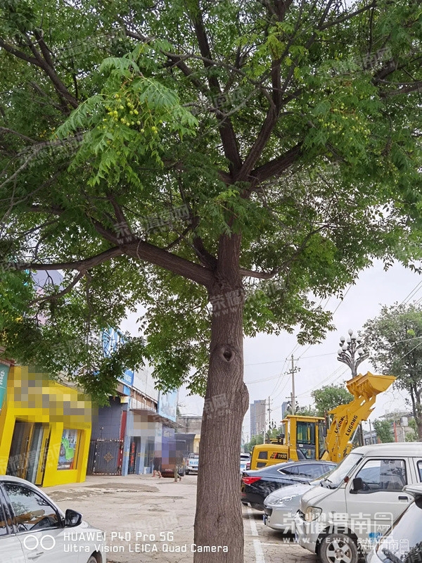 090808wa992y9e1njpe50y.jpg