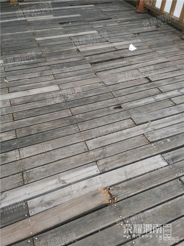 120202bmdxgcgiv3fmxgvg.jpg