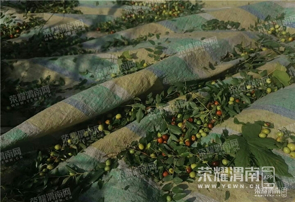 123737o0qs19q2xudi0xko.jpg