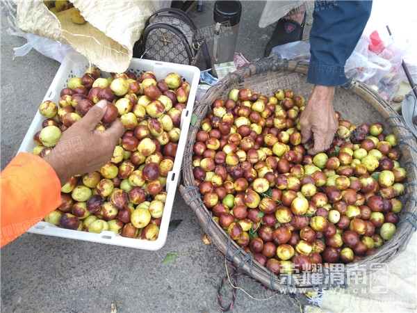 085015tn00a70uai3unfof.jpg
