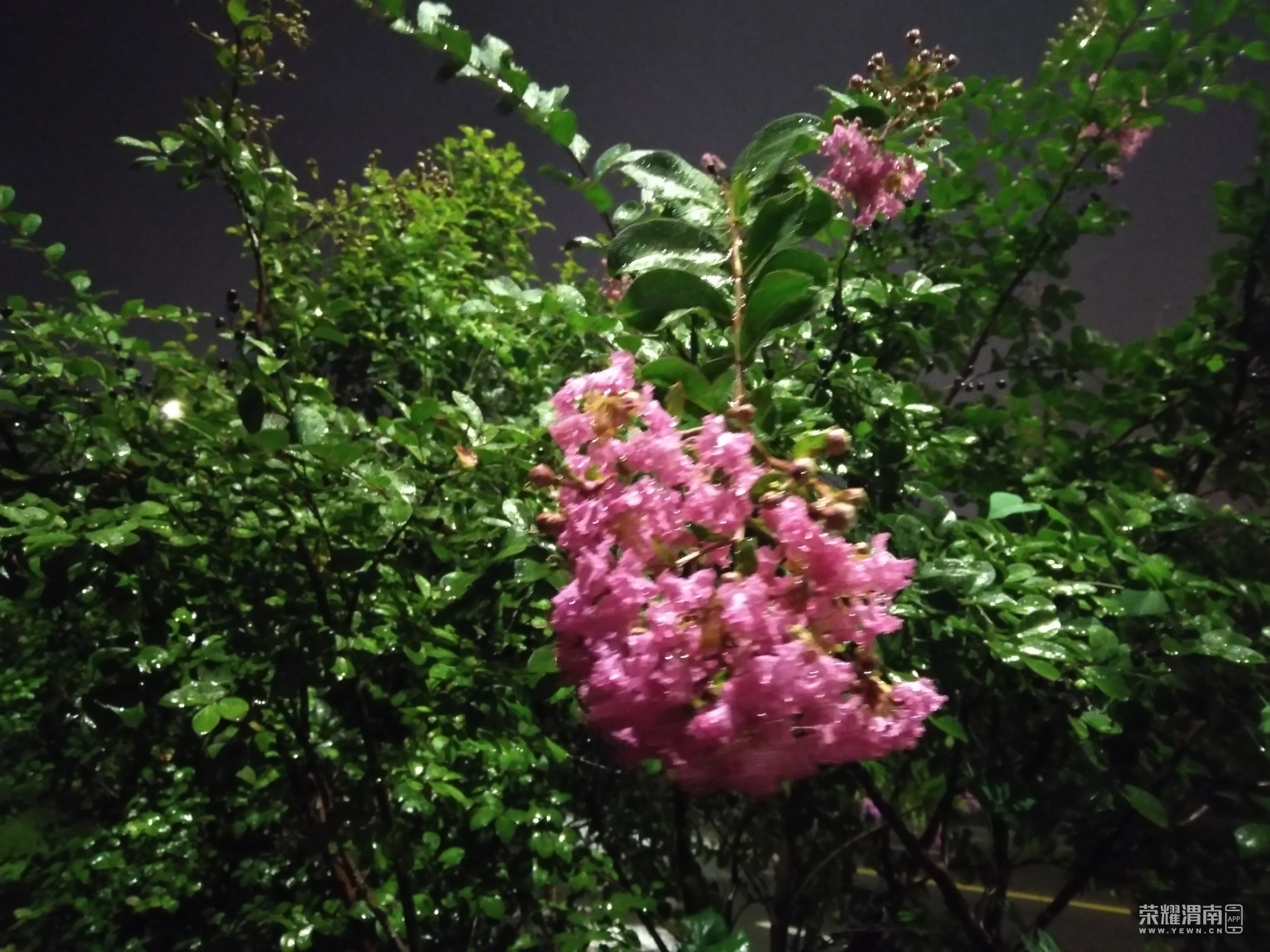 front2_0_FiOyhy_0S2unJwz4BHBS9WkKHyxA.1630372531.jpg