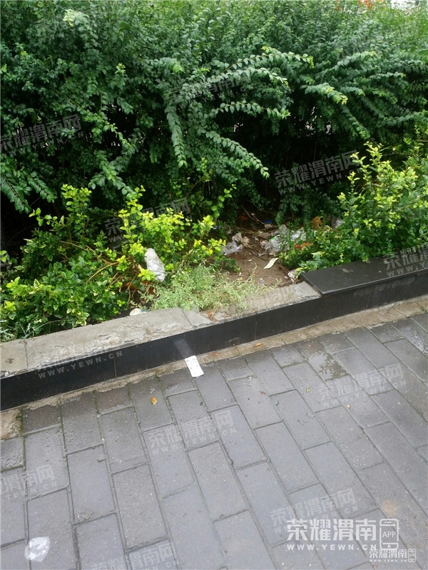 084013cbj4tcbd6rrm46x6.jpg