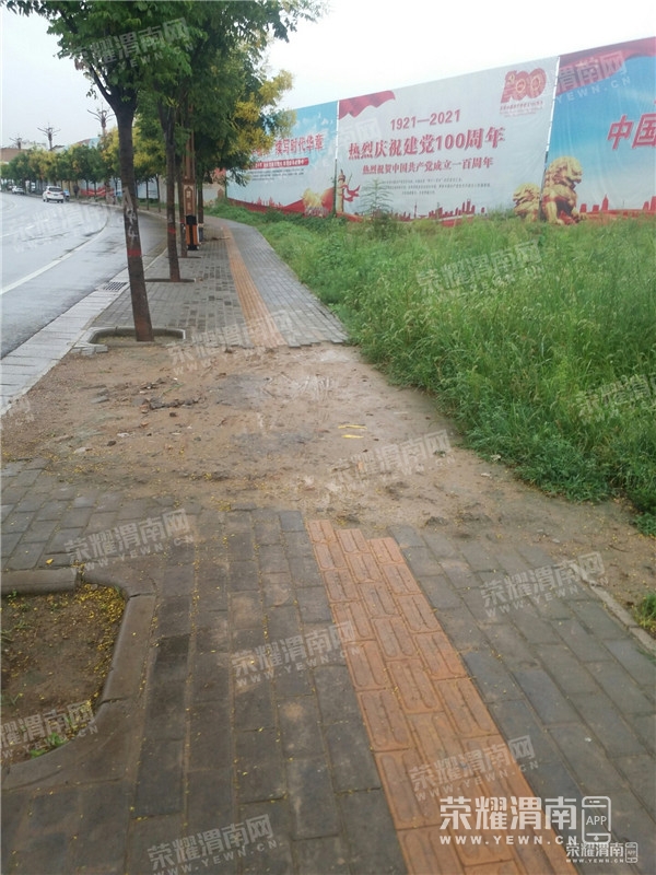 100656m5chzolhoodc5nrn.jpg