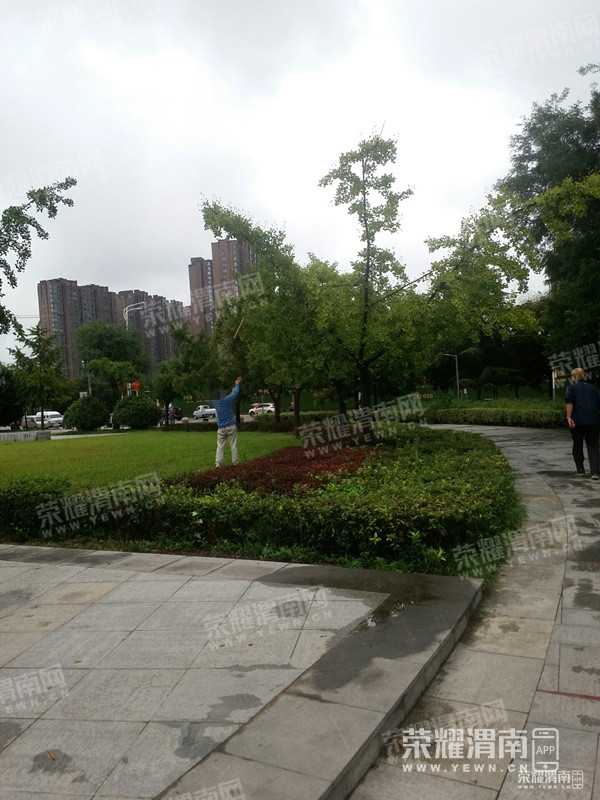 100618yukumkiijzocz2um.jpg