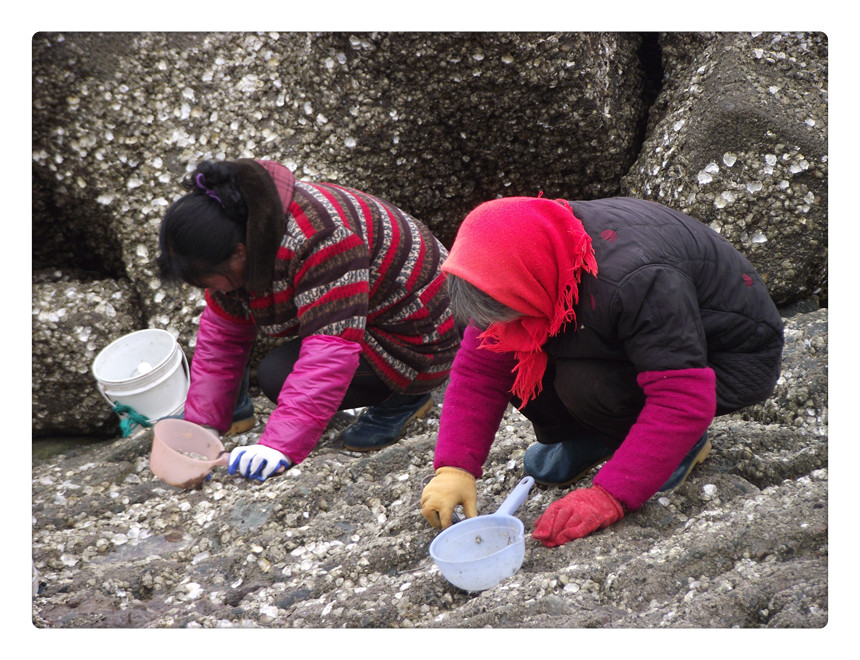 ��Ƭ 031_����.jpg