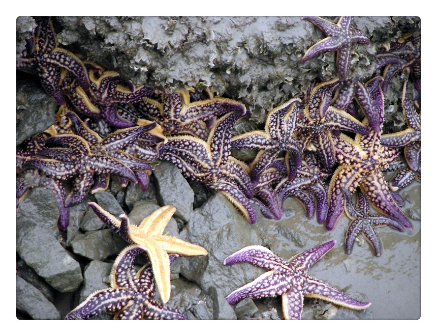 ��Ƭ 060_����.jpg