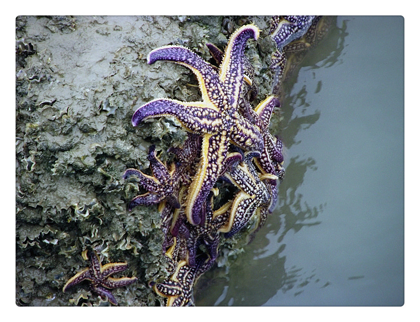 ��Ƭ 058_����.jpg