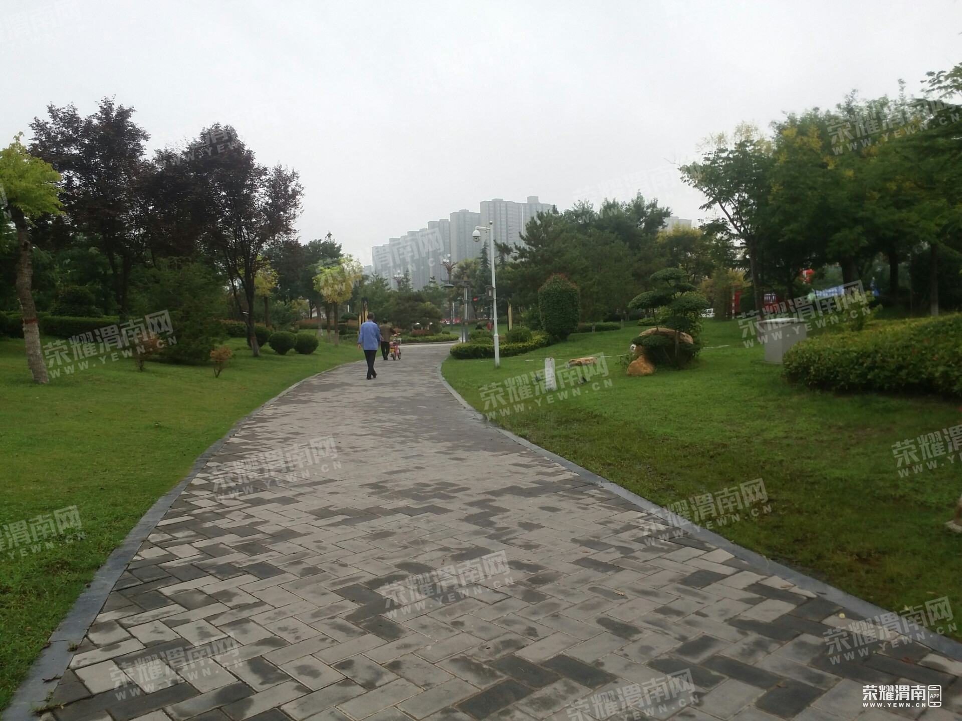 114242o85vhmhhggn6526g.jpg