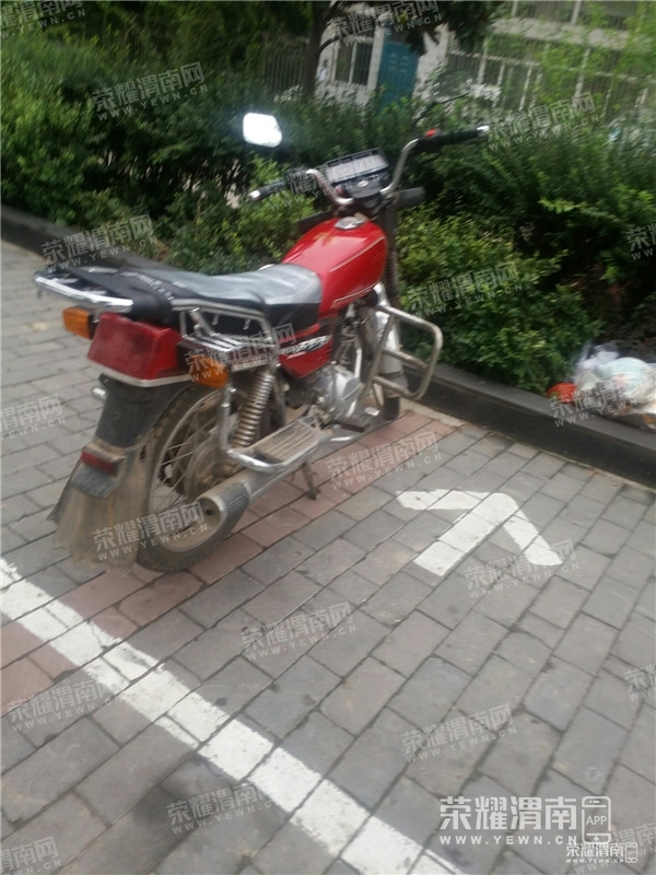 083332jxshussxexxvv3ms.jpg