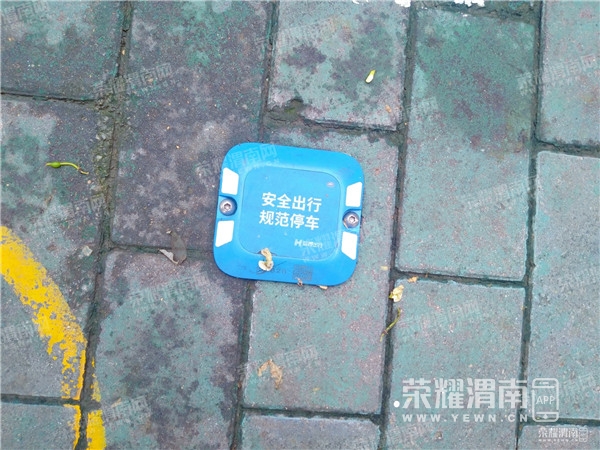 091458vfzkb1j5tlb5jurn.jpg