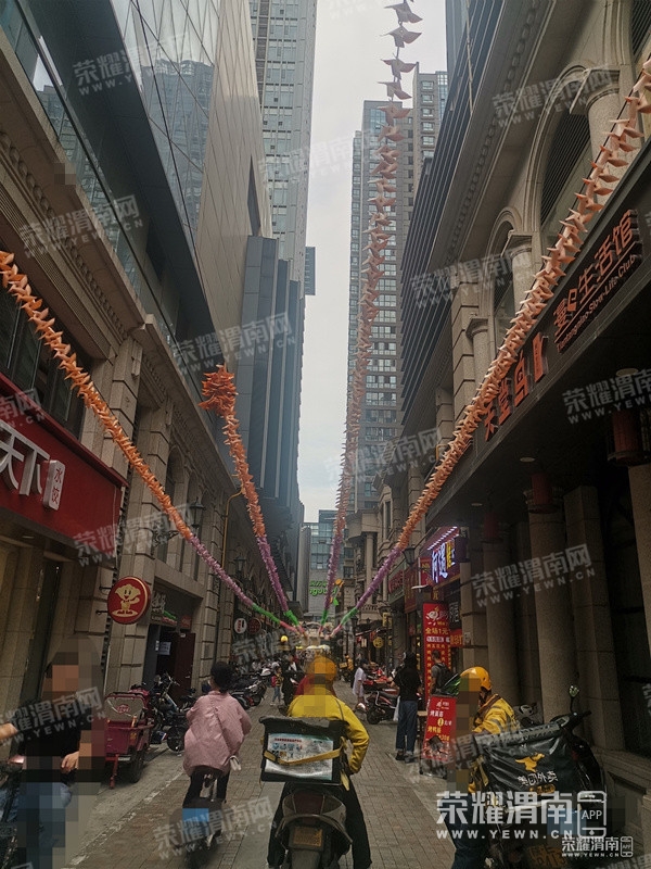 101819kgtvglq1humjl480.jpg