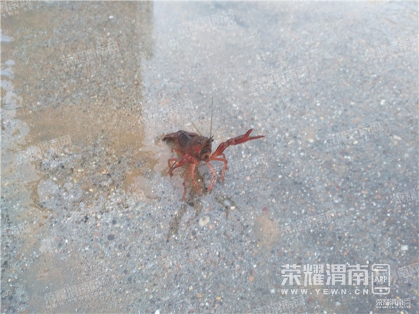 130915e2d04rjx7f7441id.jpg