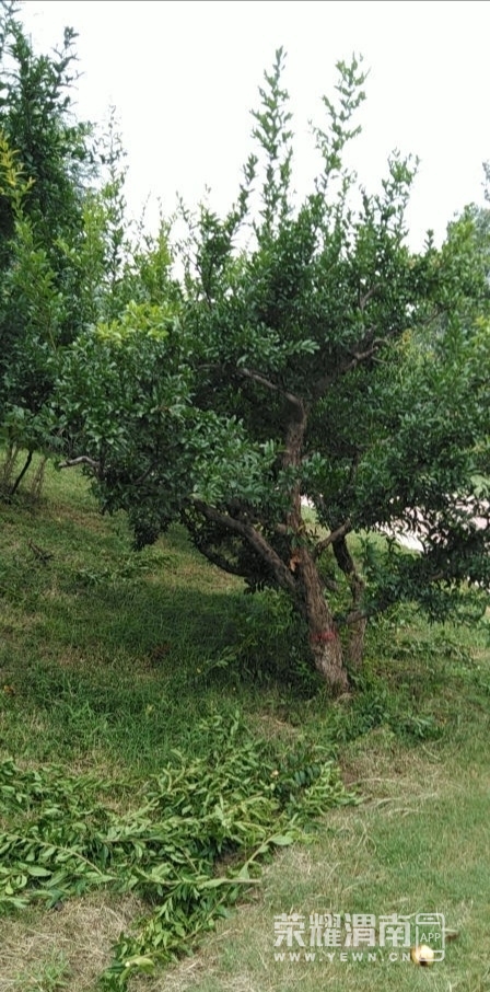 front2_0_FjxqjwDHkfrDYqjeBFojknrBKWxa.1630808365.jpg