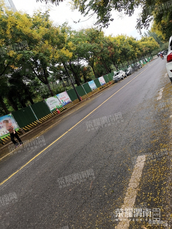 083029gk2j5up4r2dzdrvc.jpg