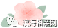 170128wpfan3cnpqnkckpp.png