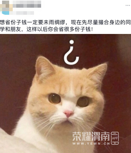 190057wytmlz1yopyo19tr.png