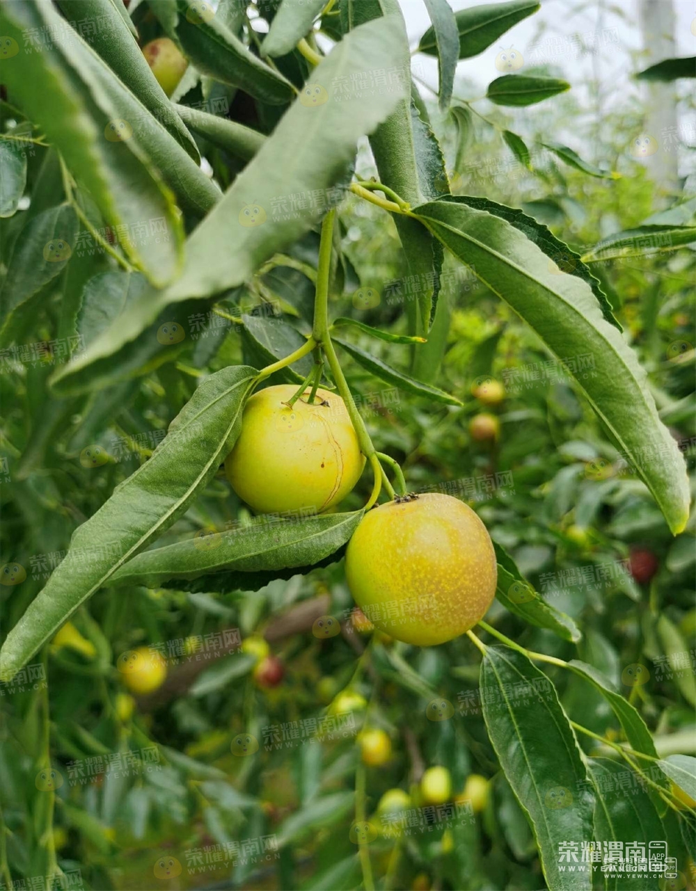 65.jpg