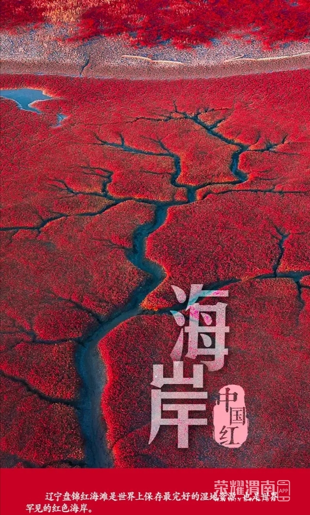 front2_0_FmAha7Jh8frlsnH3Z5R2_cQyBR4u.1633406558_12_02_39.jpg