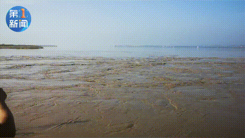 120956ry5ulyolz6d6oovt.gif
