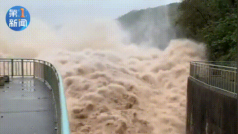 120958v0lfl2gg3r44hlrl.gif
