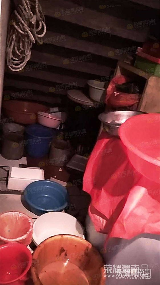 508.jpg