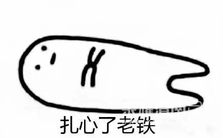 192641vr7ao5haq58kkl6o.jpeg