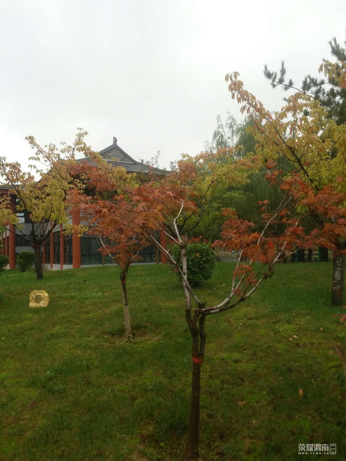 front2_0_FgyhcENvjINnHx-qnFd44gPpAN1E.1633502024_14_33_56.jpg
