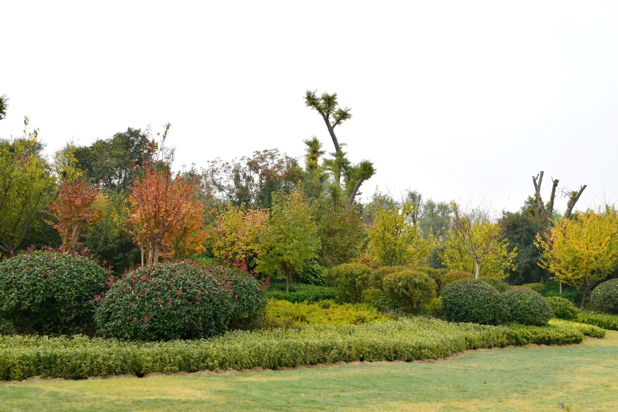 DSC_1129.jpg